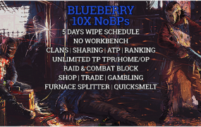 29/6 BLUEBERRY 10x No BPs • LOOT+/PVP+/SHOP/GAMBLE